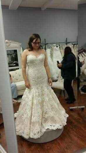 I did it, I pulled the plug.  Here's my dress!!!