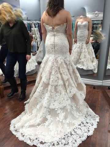 Opinions about champagne/ivory dress? (pic included)