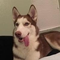 Brag Post - Pet Edition!