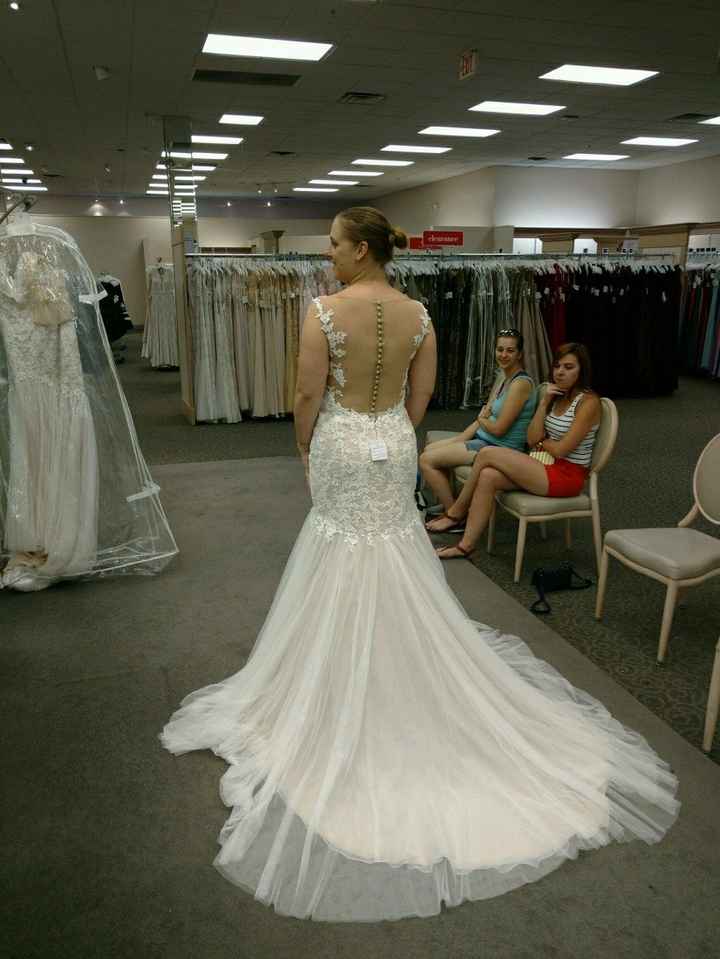 Second Guessing the Dress