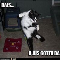 Friday Fun Picture Post