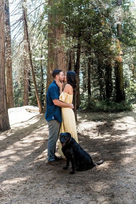 Engagement shoot in the mountains