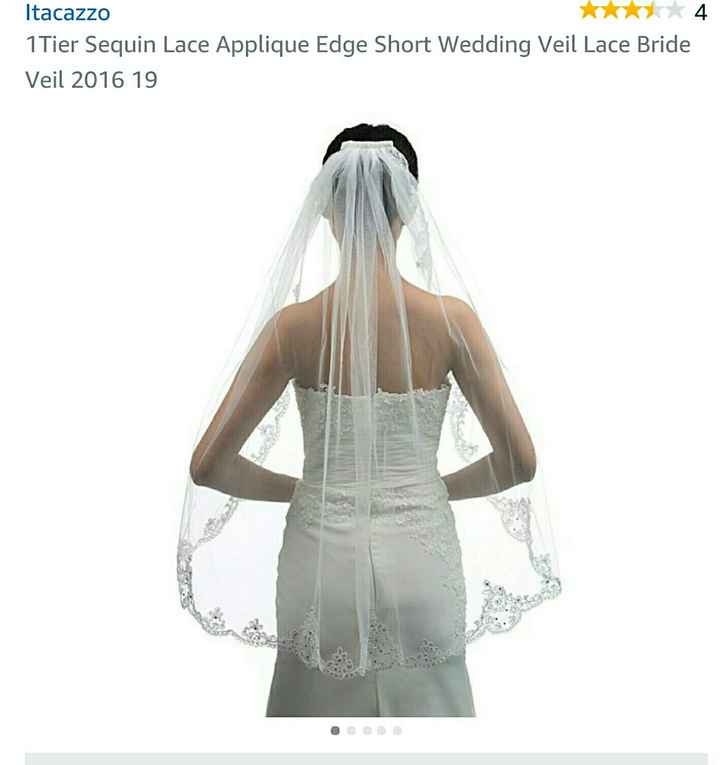 Need help with a veils