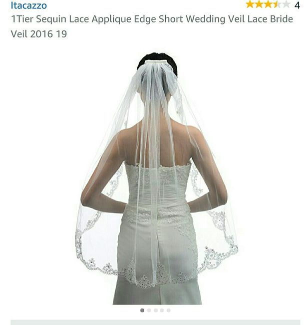 Need help with a veils