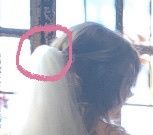 Cathedral Veil with Small Comb 3