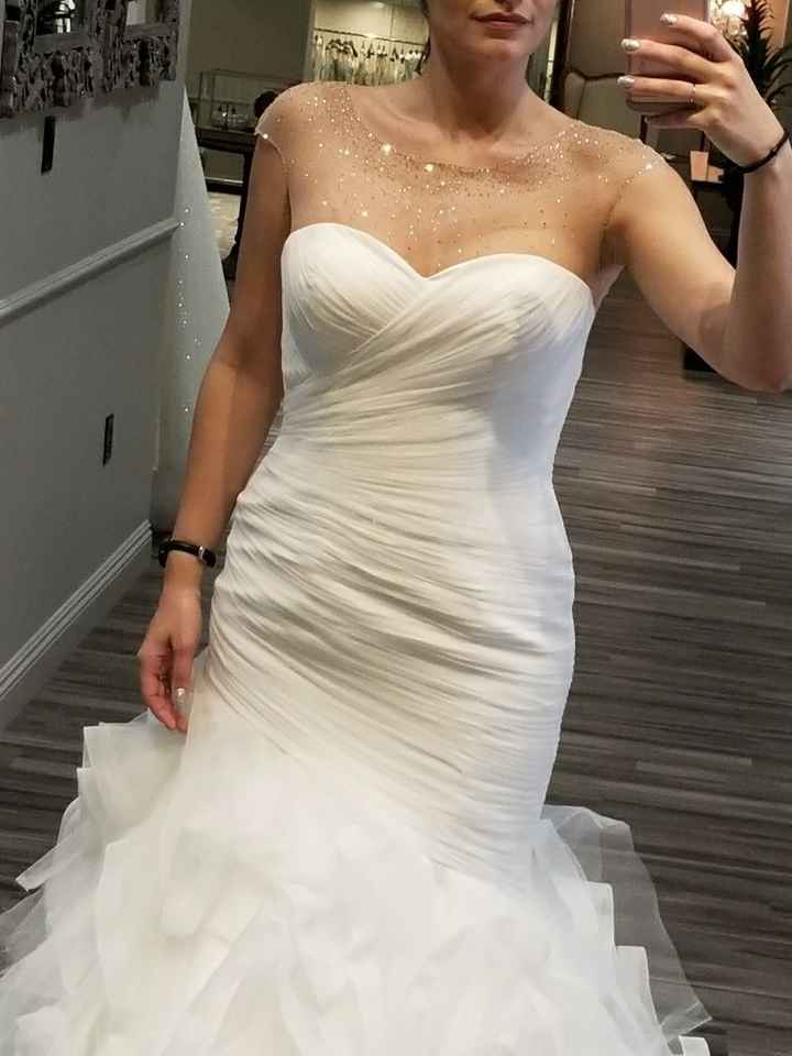 I got my dress!! Pics!