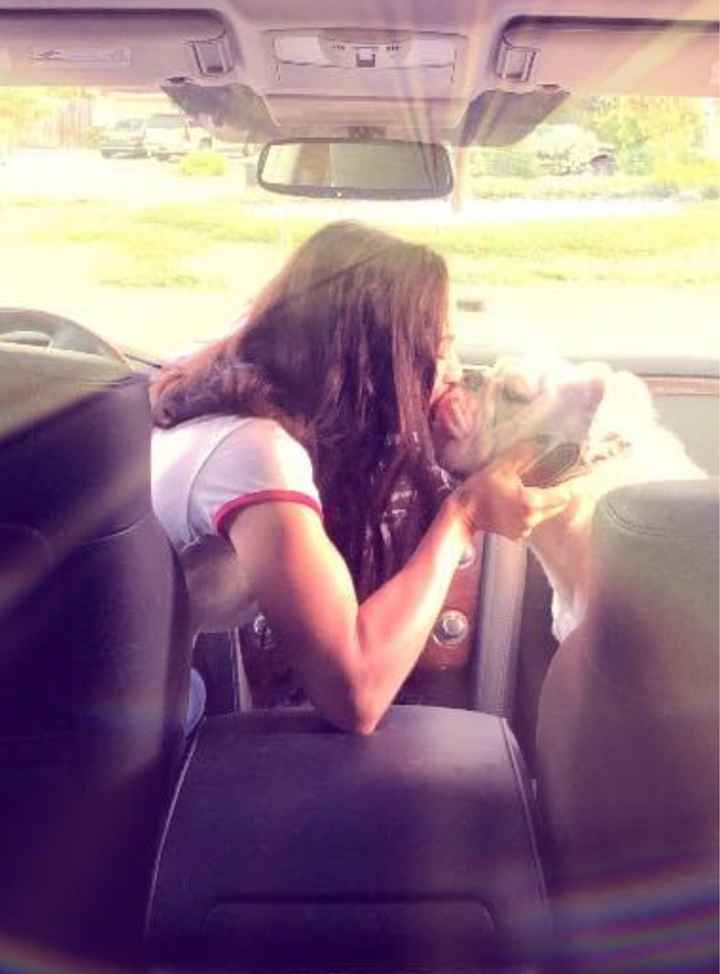 Show me your pet! - 1