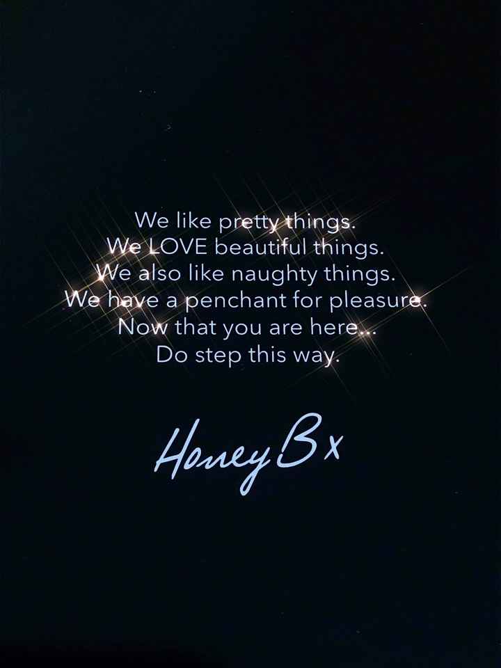 My Lingerie for “the Night” Came!!! - 3