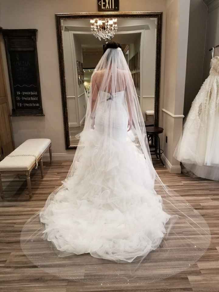I got my dress!! Pics!