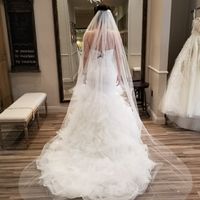 I got my dress!! Pics!