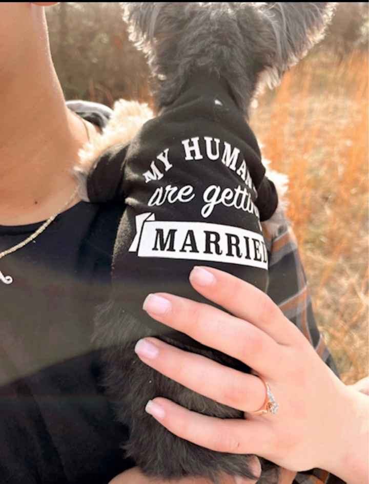 2023 Brides - Show us your ring! - 1