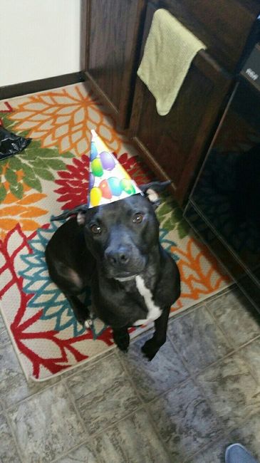 NWR: Show me your pups!