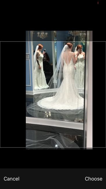 Wedding veil?