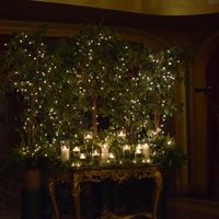 Non pro ceremony back drop