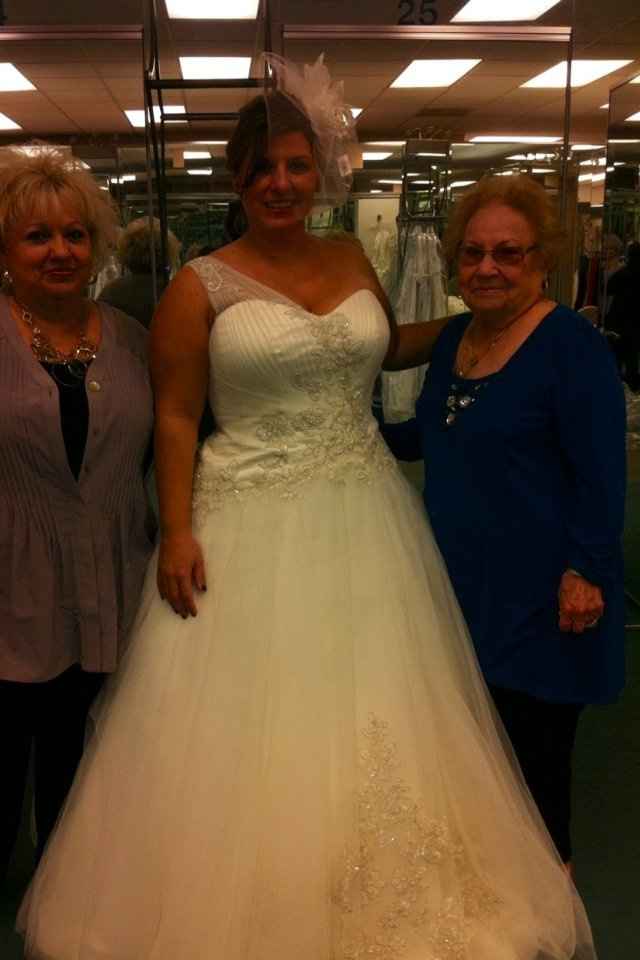 My dress came in!!  Pics attached