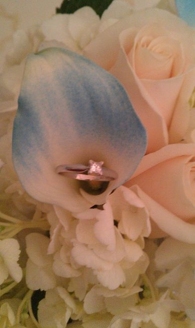 I'd love to see everyone's engagment rings.