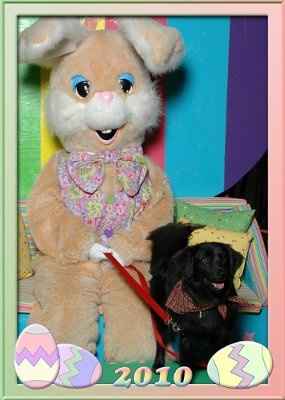 Puppy Easter pics...