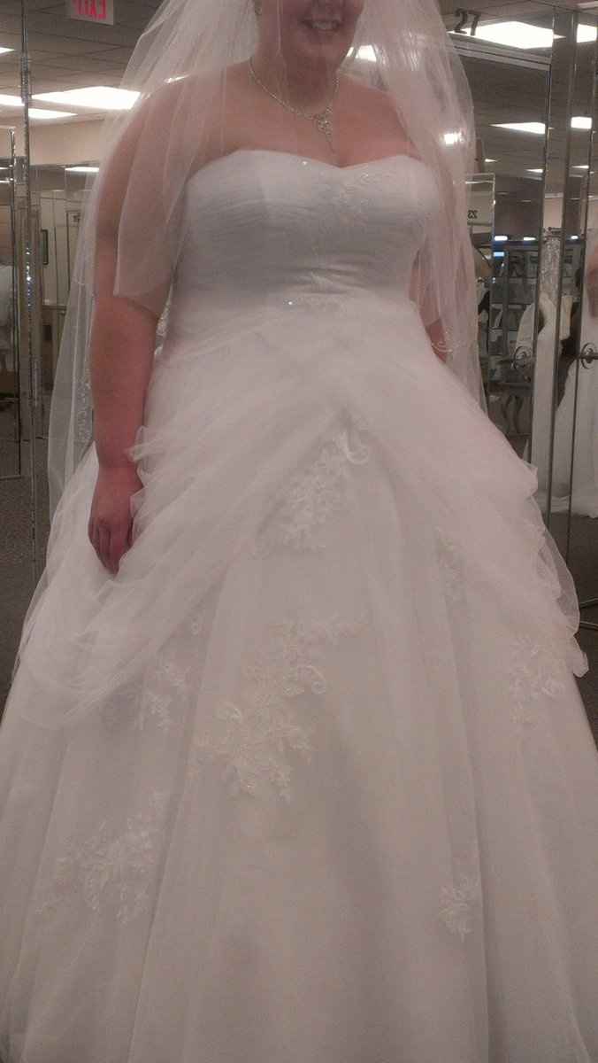 David's Bridal Brides - POST PICS OF YOUR DRESS!!!