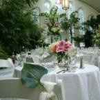 Show me your and I'll show you mine...