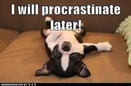 Anybody else procrastinating right now?