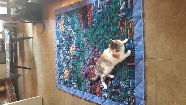 NWR: Tomorrow is National Cat Day!