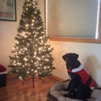 NWR - Calling all christmas lovers!