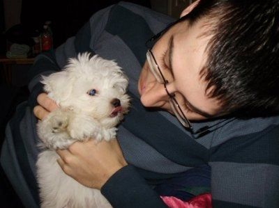 For animal lovers, brag about your animals!!