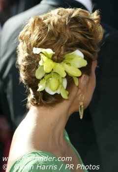 so how is everyone doing their hair