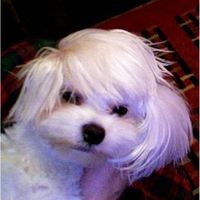 NWR: What kind of dog do you have?