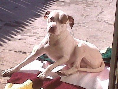 NWR: Show off your fur baby!