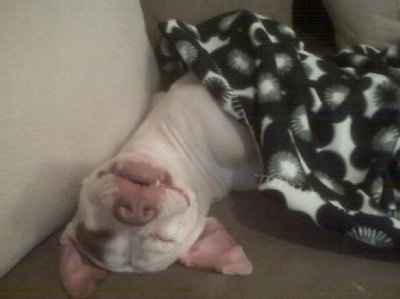 KWR-When I'm Stressed About Anything Wedding... This is my cure :D