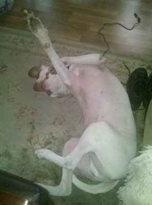 KWR-When I'm Stressed About Anything Wedding... This is my cure :D