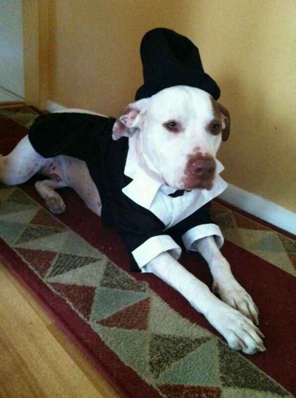 My handsome guy (pics included of his costume)