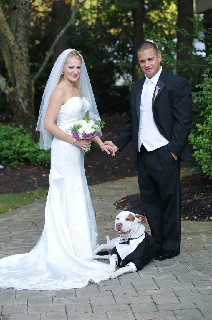 Wedding Thank You cards & Christmas Cards?