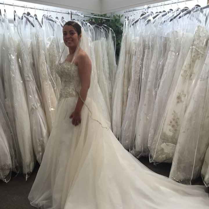 Veil or no veil?