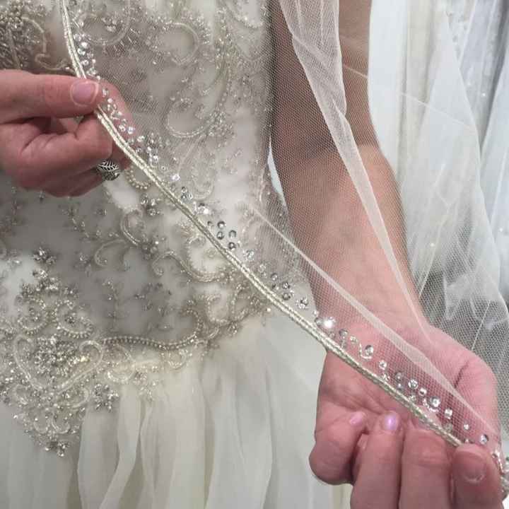 Veil or no veil?