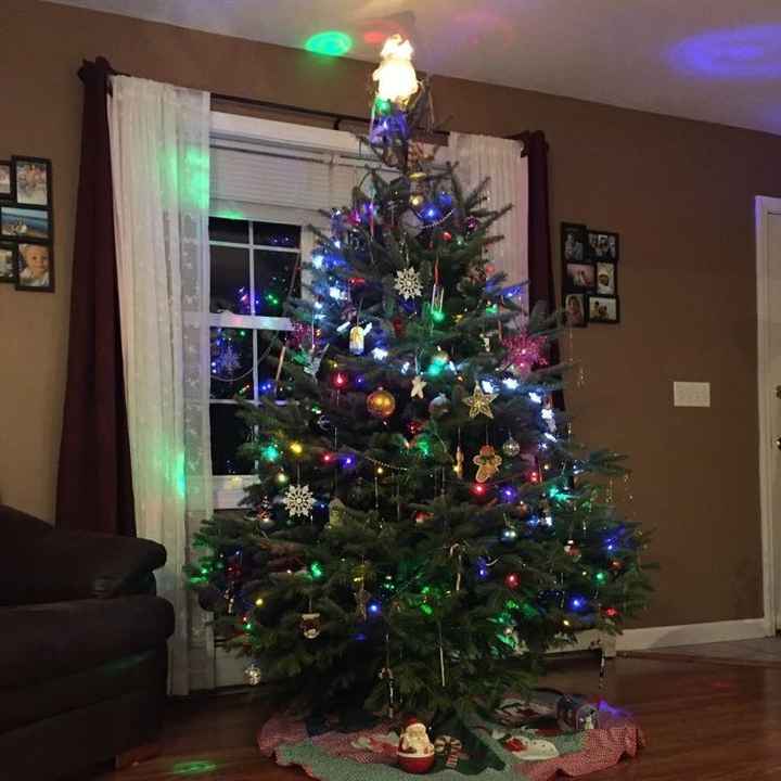 NWR-show me your Xmas trees