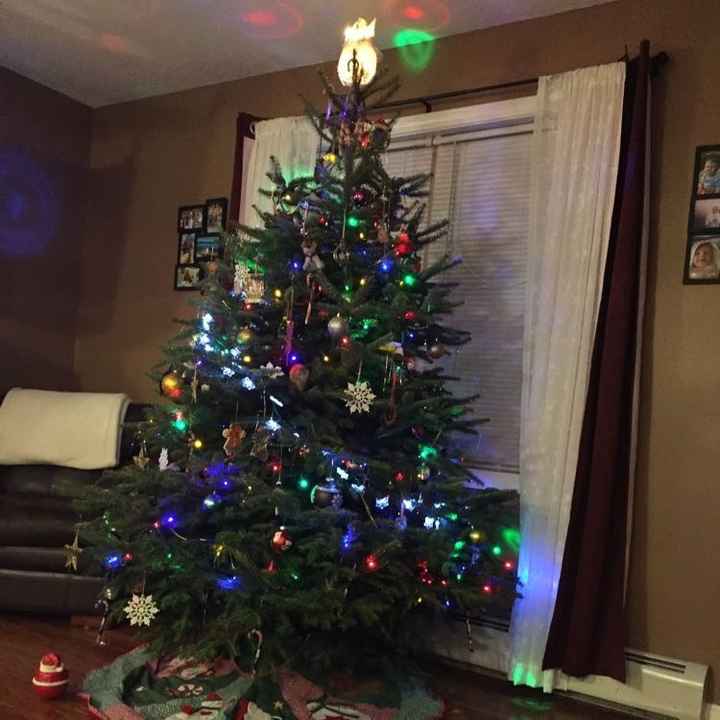 NWR: Finally finished decorating our first Christmas tree!!
