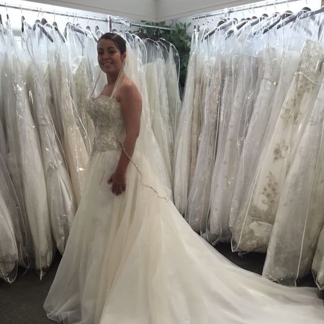 Veil or no veil?