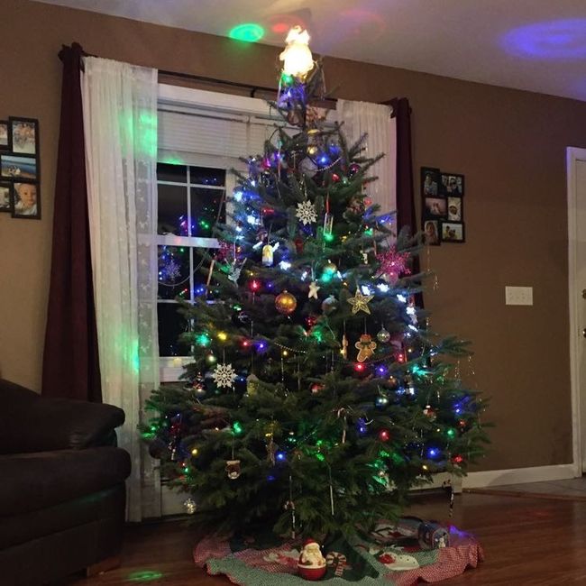 NWR-show me your Xmas trees