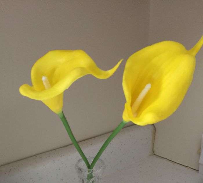 Fake flowers? - 1