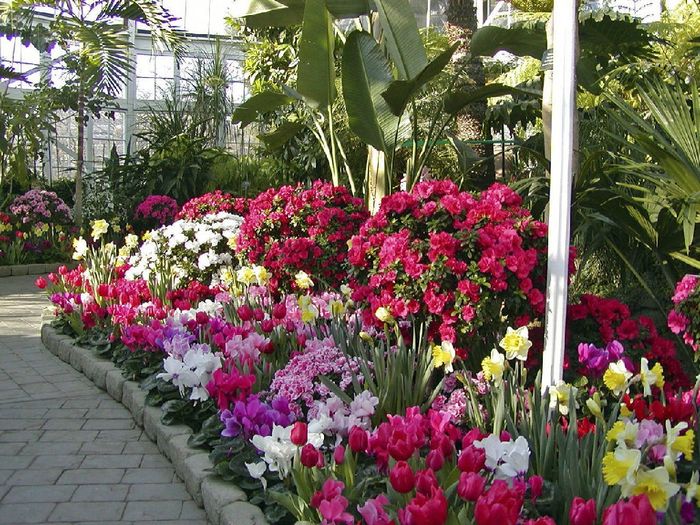 i made my bouquet!! 4