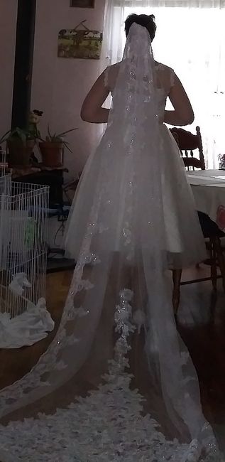 Short dress and long veil? 1