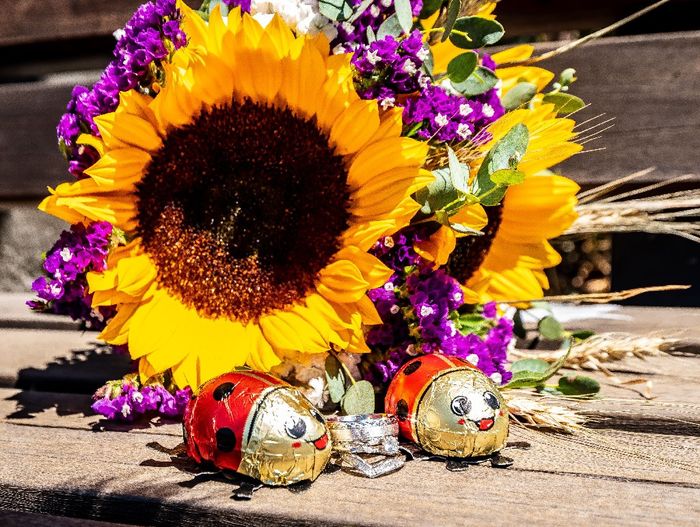 Bam!  July 18, 2020 41