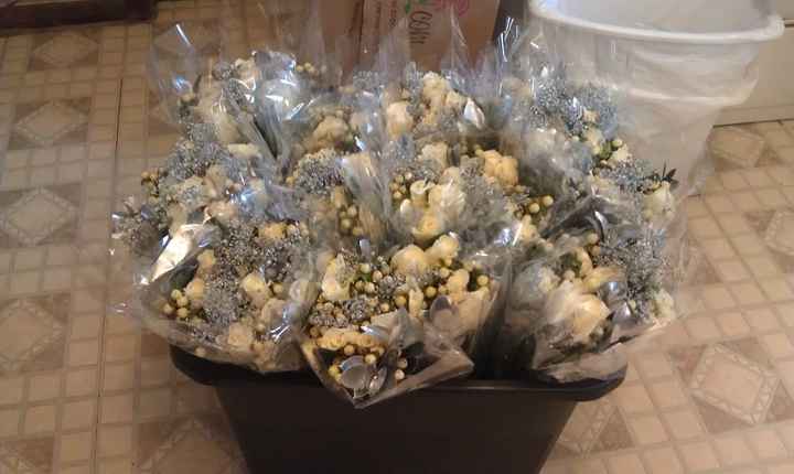 the flowers are comming, the flowers are coming, yay * added pictures