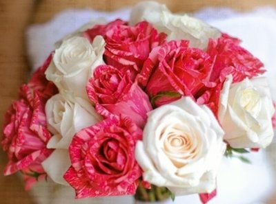 I need a little help