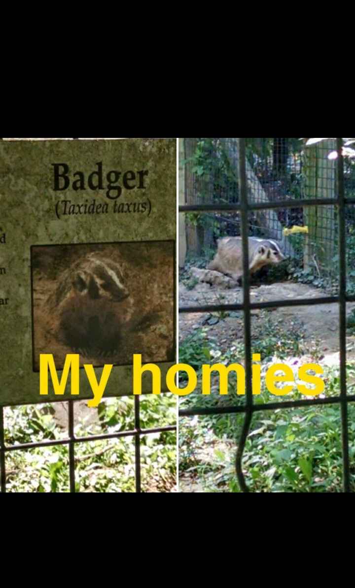 Harry Potter Bachelorette [pic heavy]