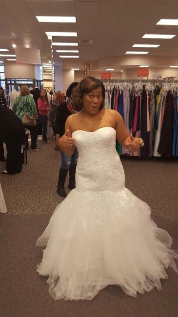 Davids Bridal Dresses!