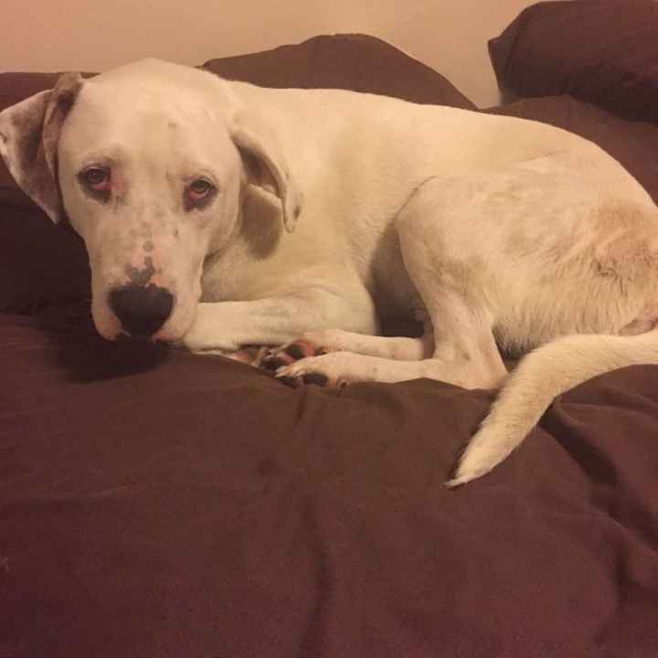 NWR- pets! We love them show me yours :)