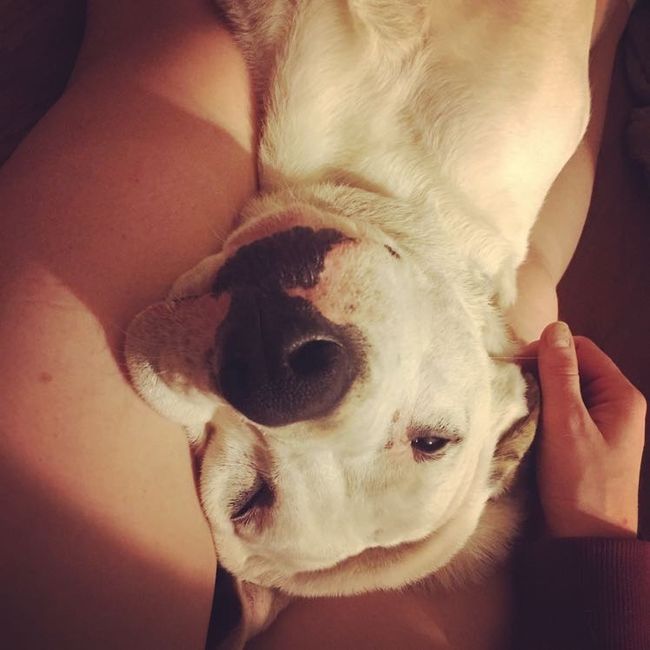 NWR: Show me your pups!
